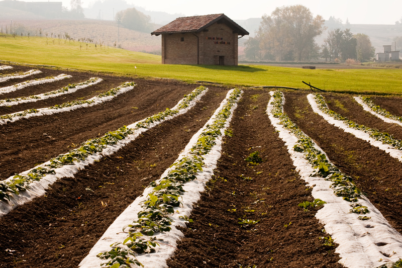 Grom_Gelato_Azienda MuraMura