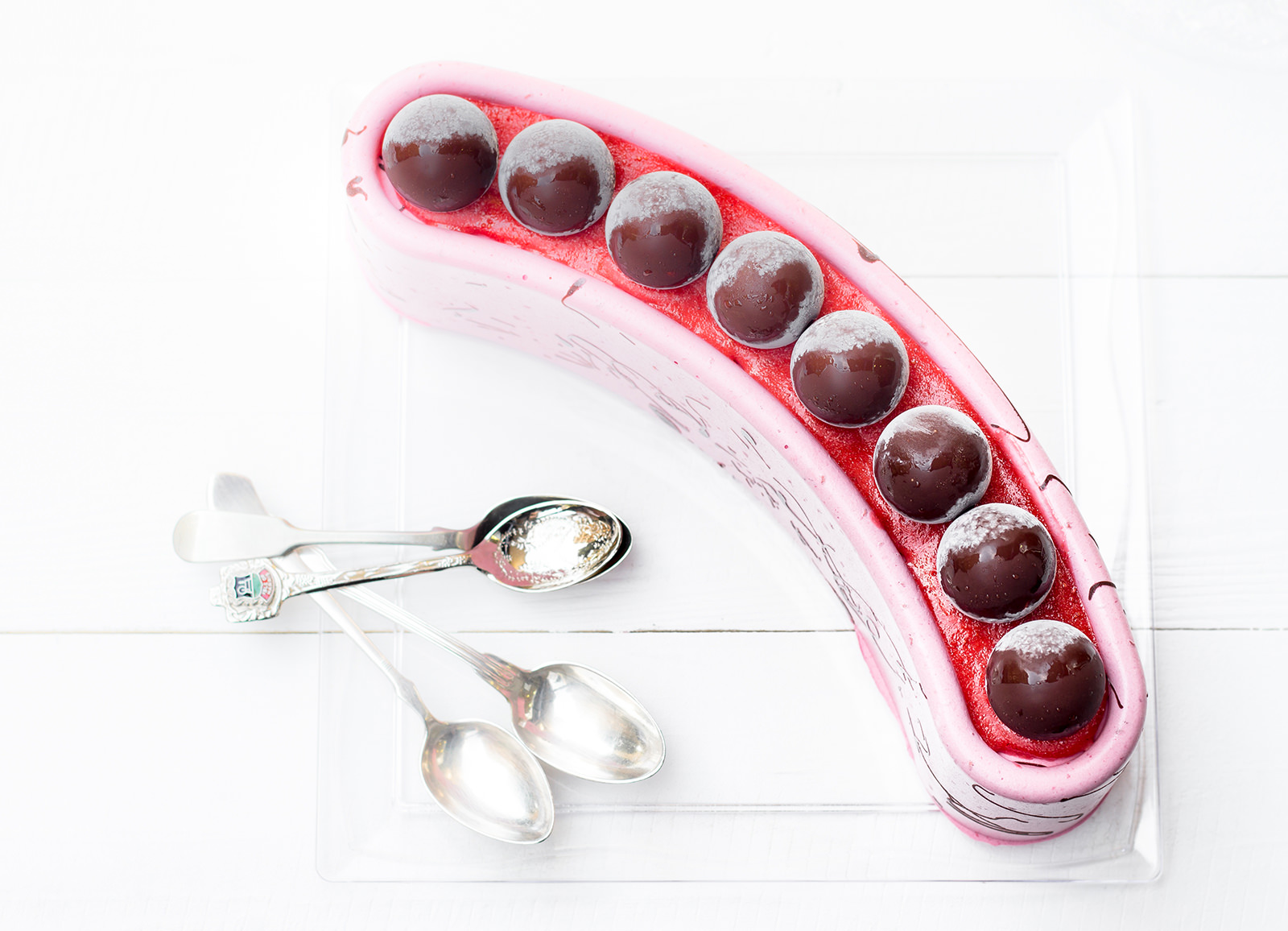 Barbara Torresan_libro